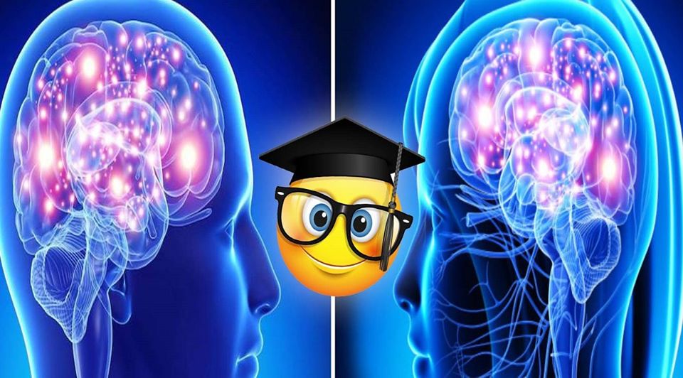 Brain Ring[:] Image