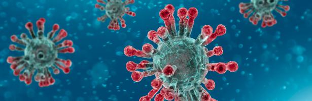 Video informație despre coronavirus Covid-19[:] Image